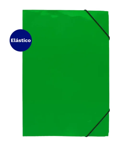 Carpeta c/elástico oficio
